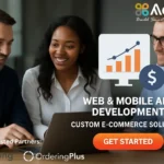 Web App Development Partner